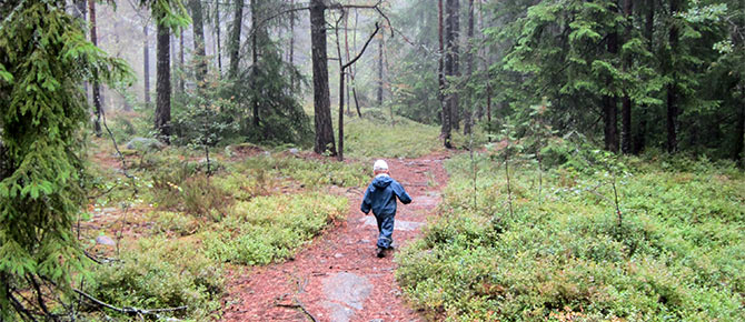 På väg till Abborrträsk. Foto: Marie Ané.