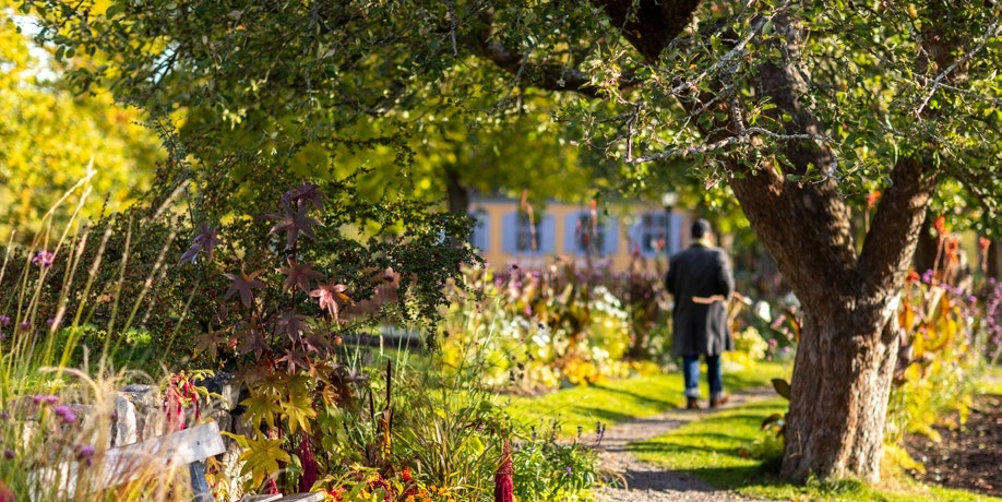 Foto på träd och blommor i trädgård framför hus